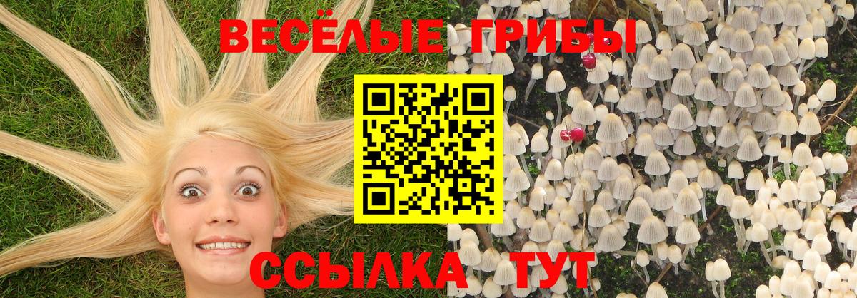 Псилоцибиновые грибы MAGIC MUSHROOMS Тулун
